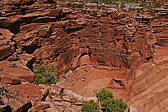 p1130546.jpg