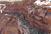 p1130556.jpg
