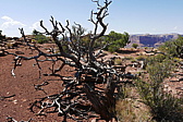 p1130564.jpg