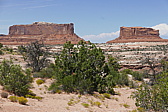 p1130571.jpg