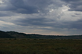 p1130595.jpg