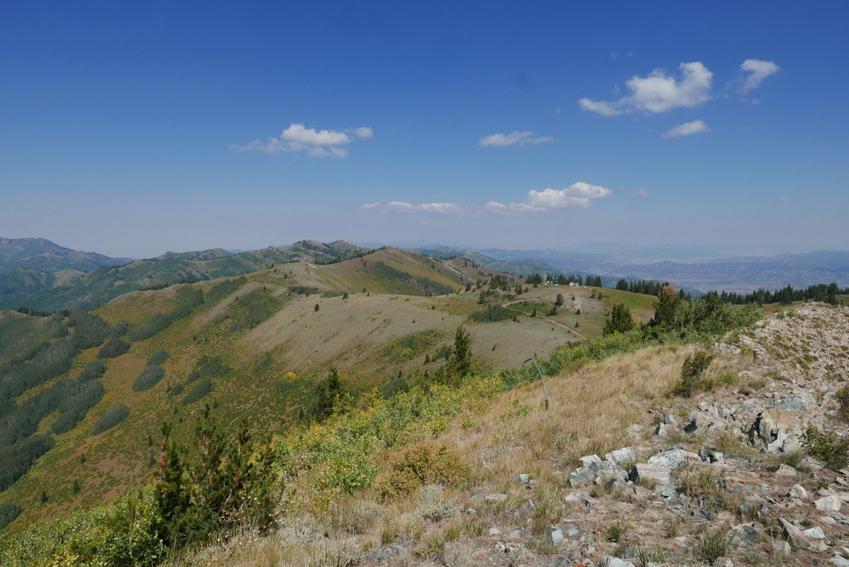 p1130627.jpg