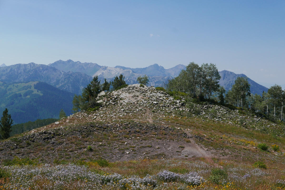 p1130633.jpg