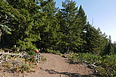 p1130618.jpg