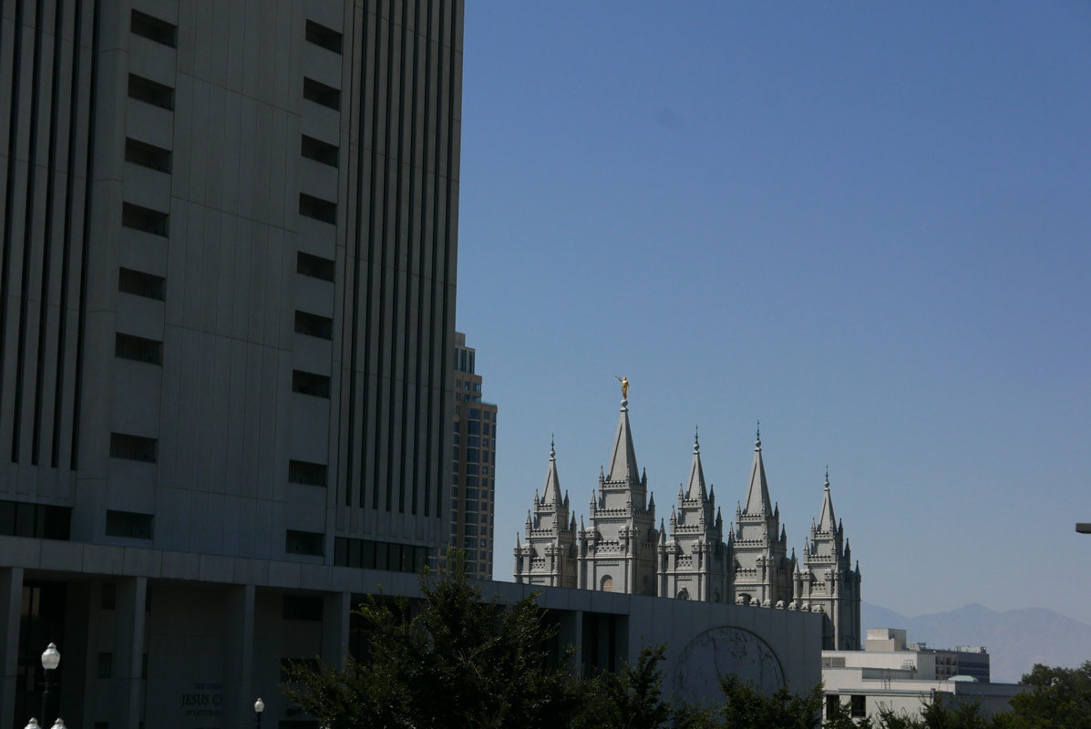 p1130677.jpg