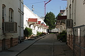 p1130653.jpg