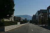 p1130664.jpg