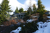 p1190540.jpg