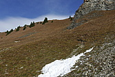 p1190554.jpg