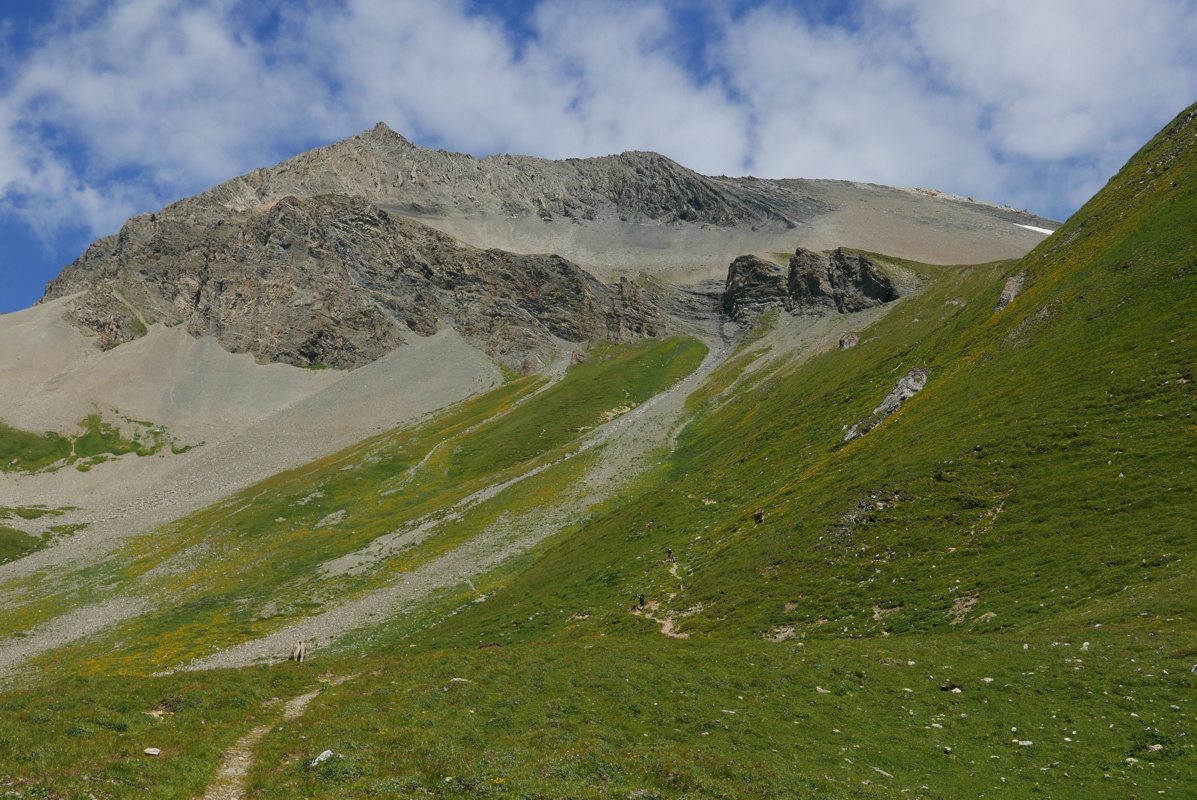 p1170341.jpg