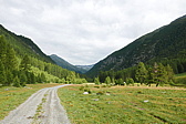 p1170365.jpg
