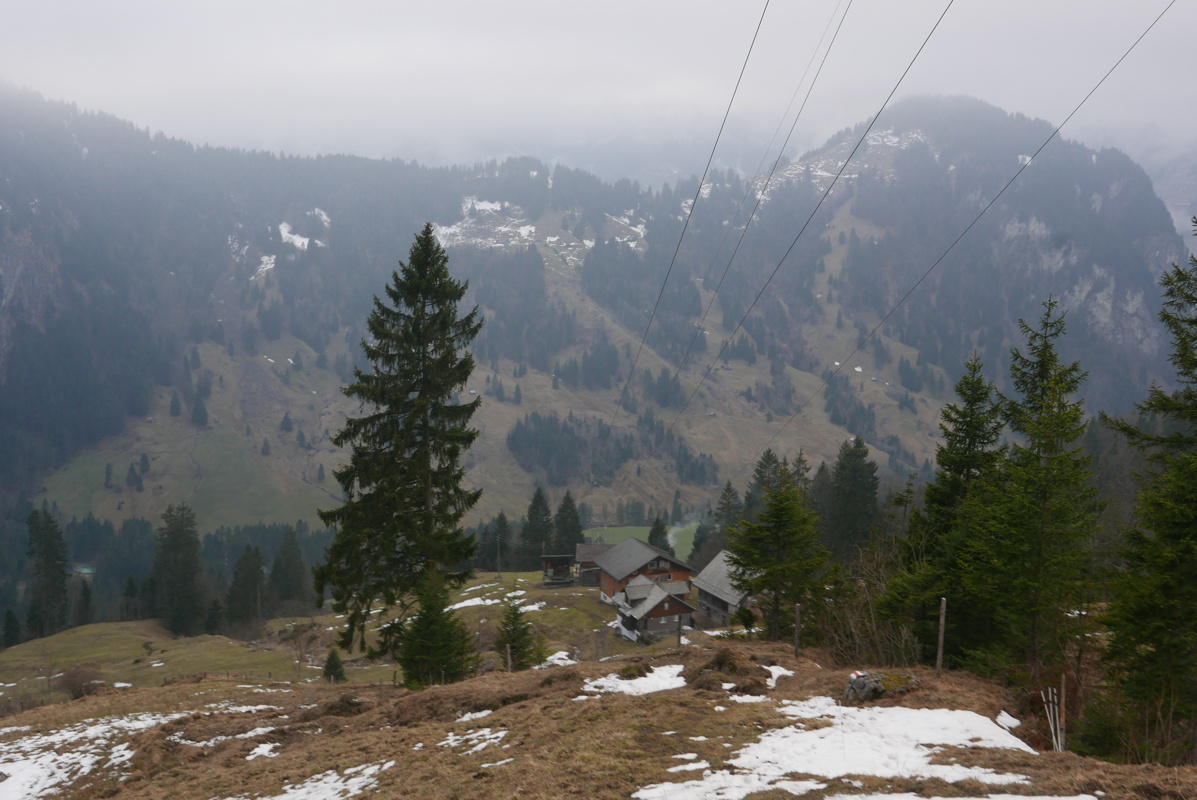 p1160108.jpg