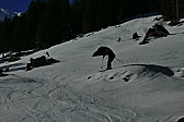 p1160090.jpg