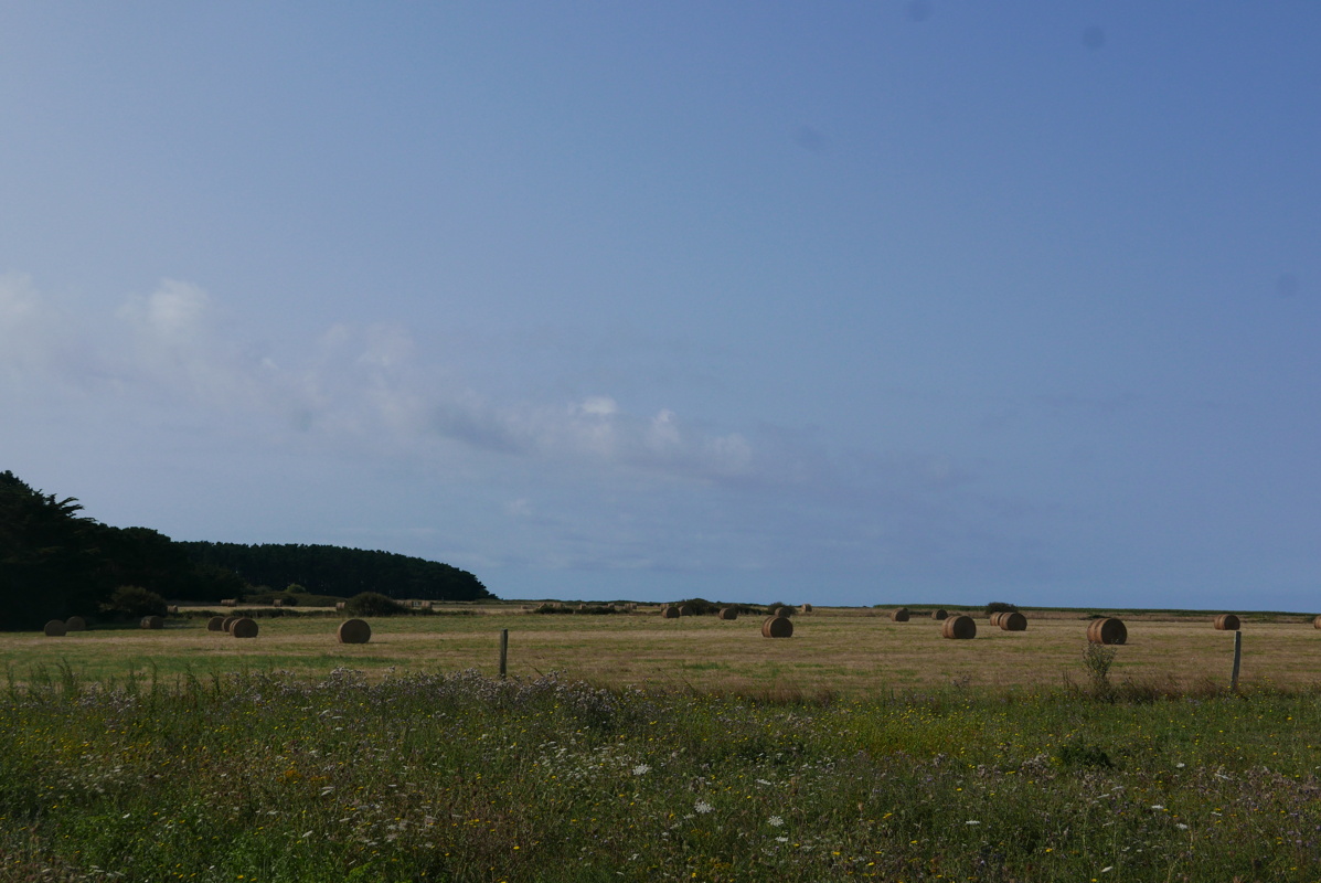 p1170644.jpg