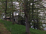 img_1205.jpg
