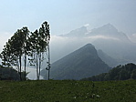 img_1219.jpg