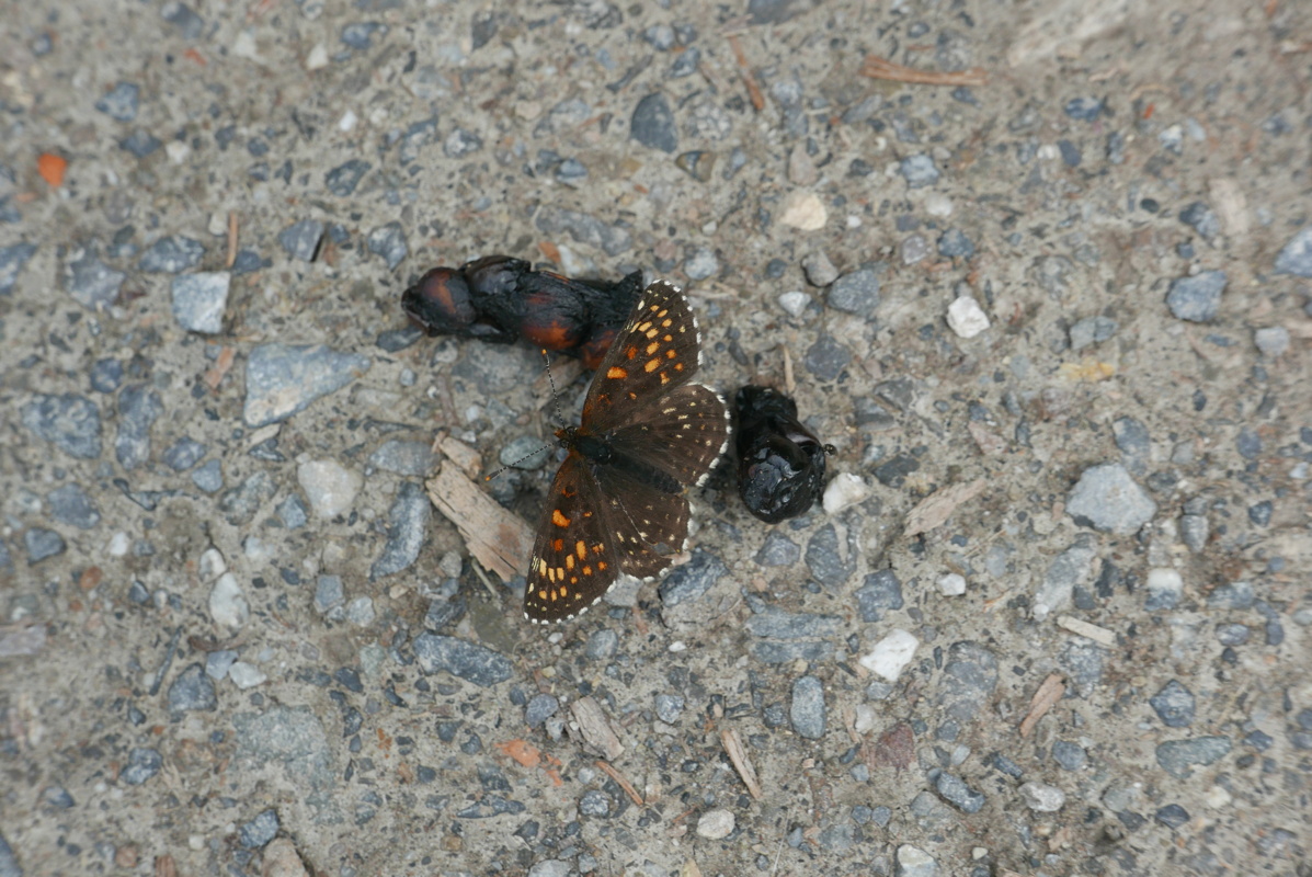 p1170333.jpg