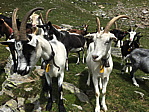 img_1286.jpg