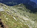 img_1295.jpg