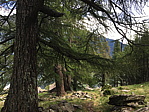 img_1302.jpg