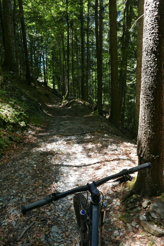 p1170165.jpg