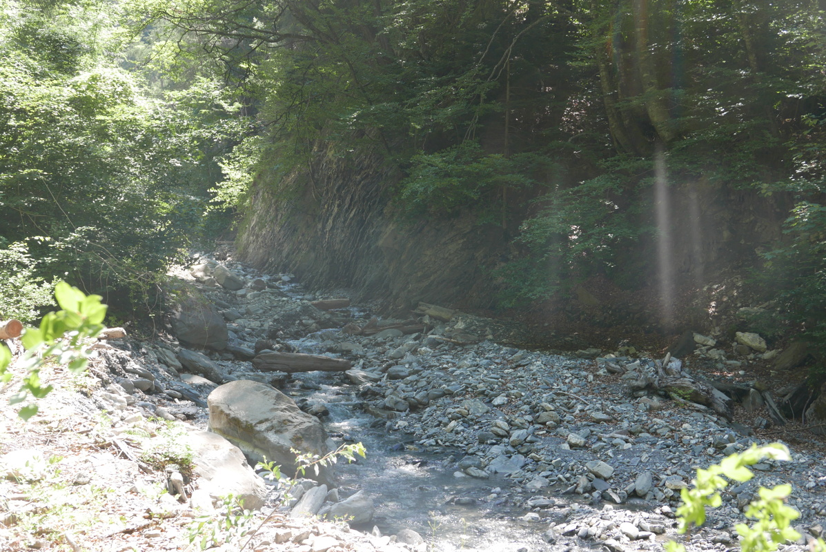 p1170166.jpg