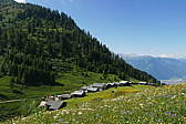 p1170156.jpg