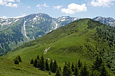 p1170162.jpg