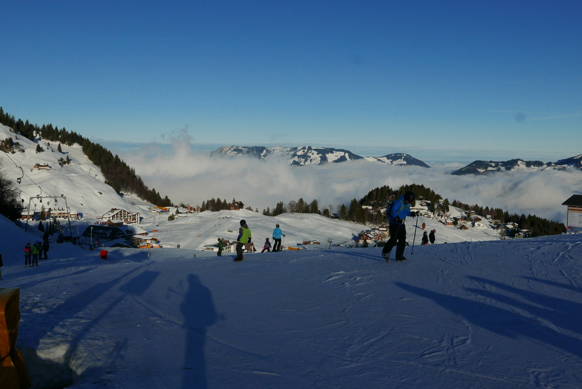p1150972.jpg