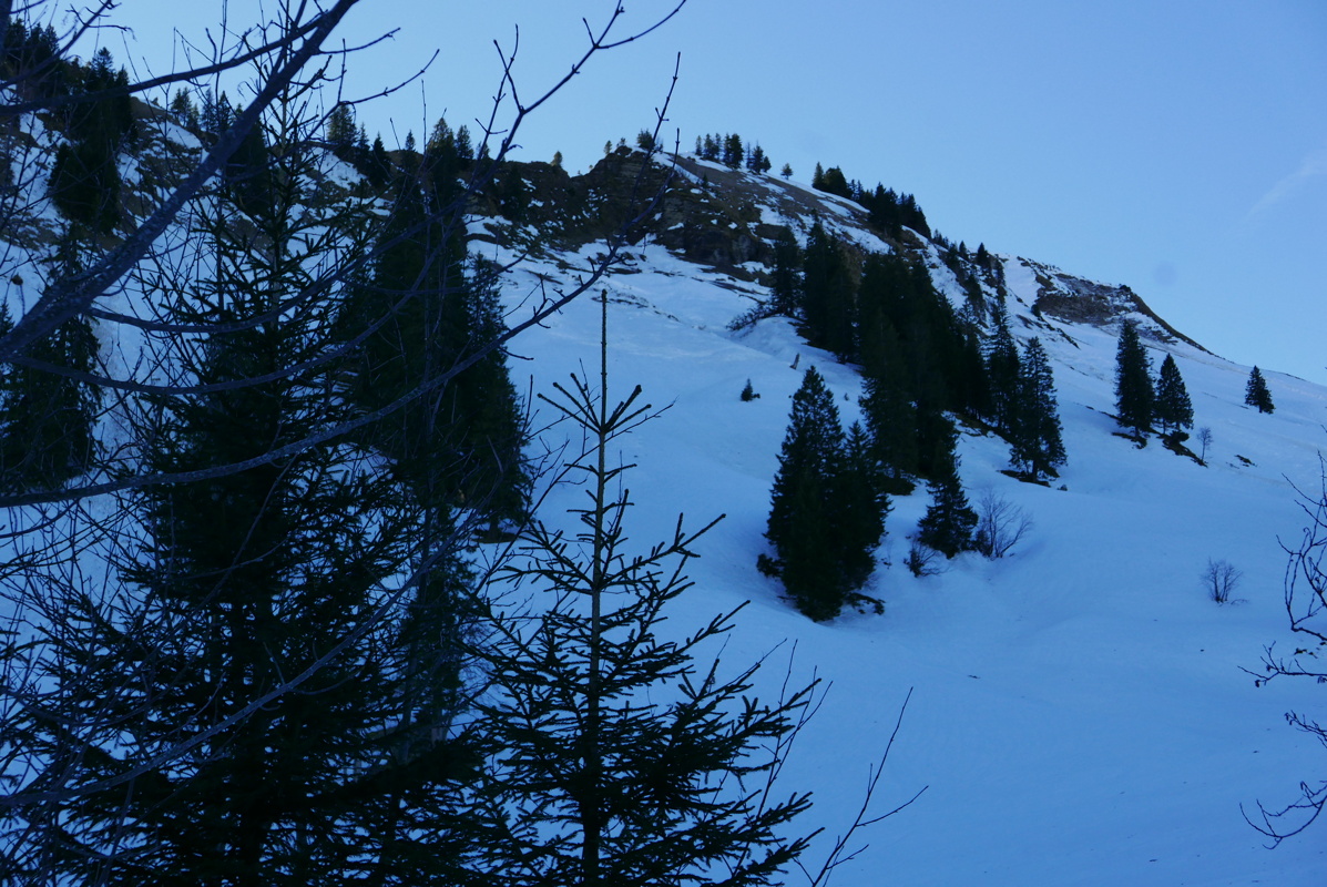 p1150974.jpg