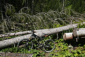 p1170291.jpg