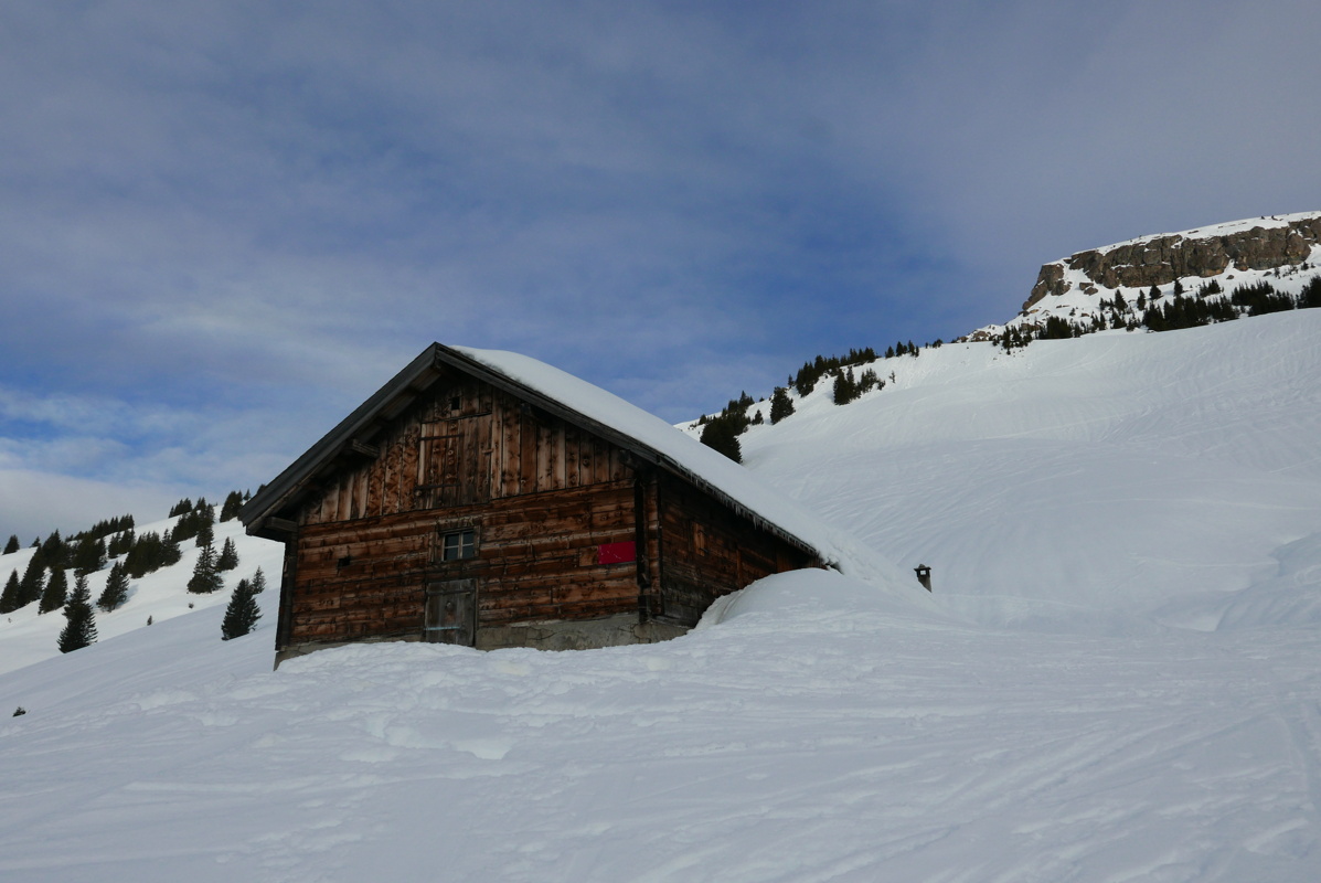 p1160115.jpg