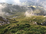 025_ochse.jpg