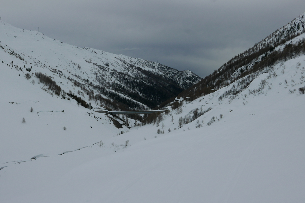 p1160634.jpg