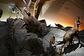p1160600.jpg