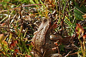 p1170789.jpg