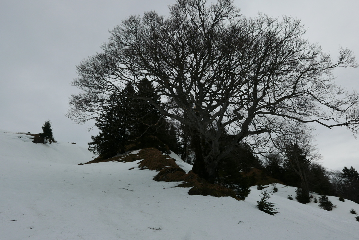 p1150993.jpg