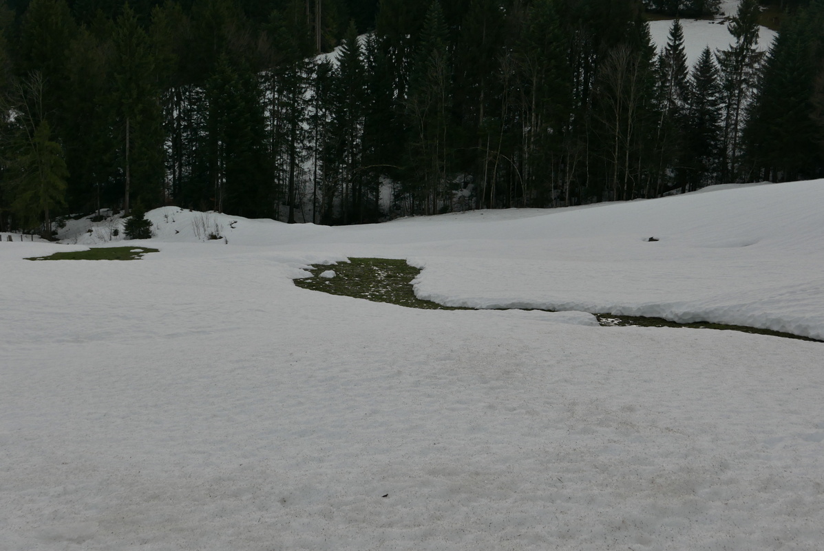 p1160007.jpg