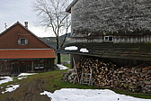 p1160009.jpg
