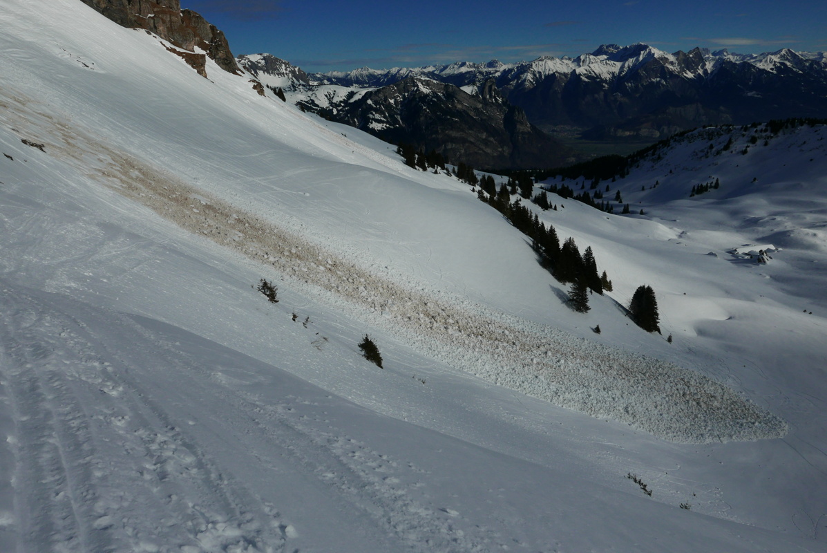 p1160139.jpg