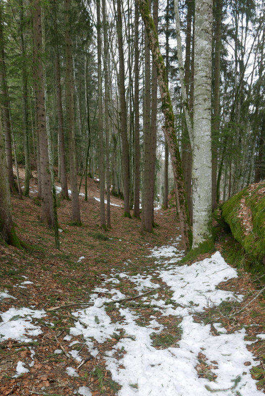 p1160142.jpg