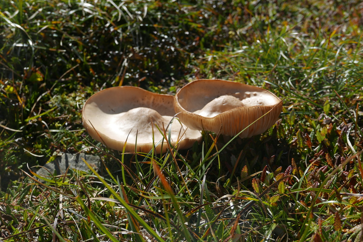 p1170774.jpg