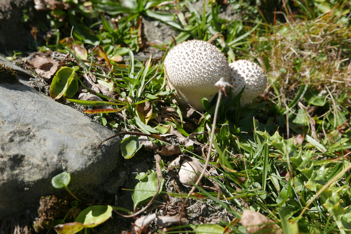 p1170777.jpg