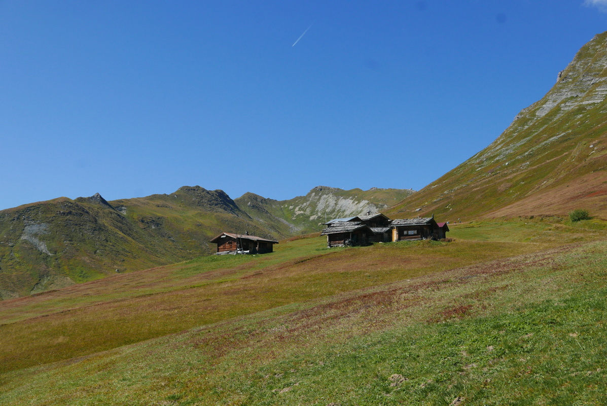 p1170784.jpg