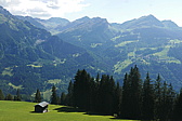 p1170785.jpg
