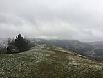 img_1473.jpg
