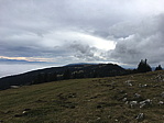 img_1410.jpg