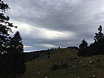 img_1414.jpg