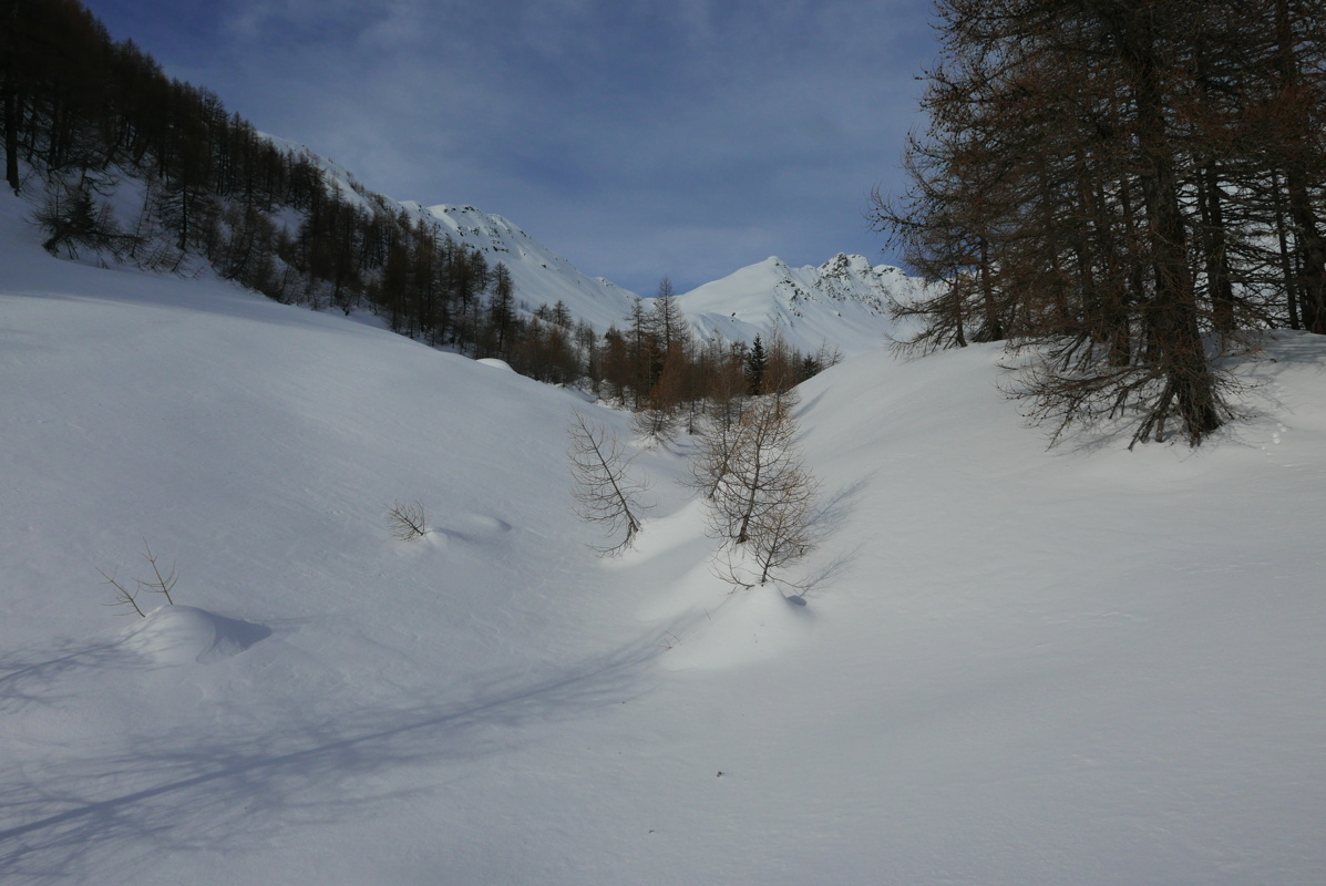 p1160146.jpg