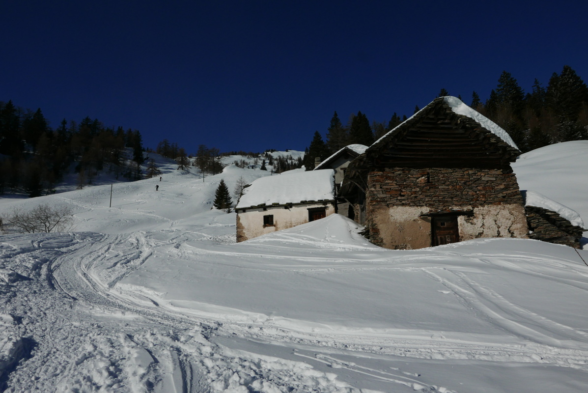 p1160177.jpg